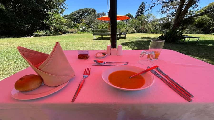 Tea Farm Tour From Nairobi (Kiambethu). - A gentle introduction to Kenyan tea