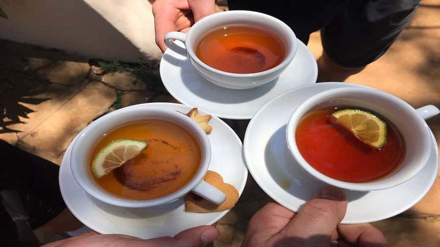 Tea Farm Tour From Nairobi (Kiambethu). - Tea fields, gardens, and Ngong Hills views