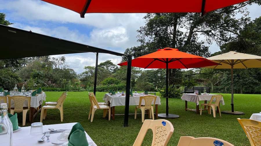 Tea Farm Tour From Nairobi (Kiambethu). - Timing, pickup, and practical planning