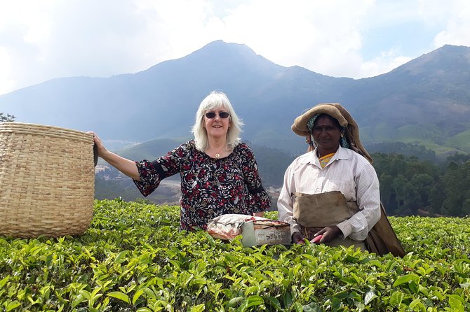 Tea Farm Tourism - Why Munnar’s tea country is worth your morning
