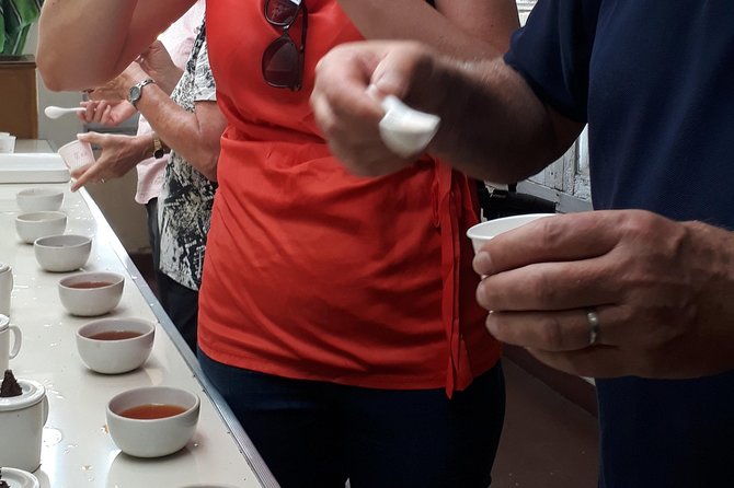 Tea Farm Tourism - Timing, route length, and physical effort