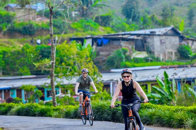 Tea Loops E-Biking - Tea estates, factories, and plantation roads