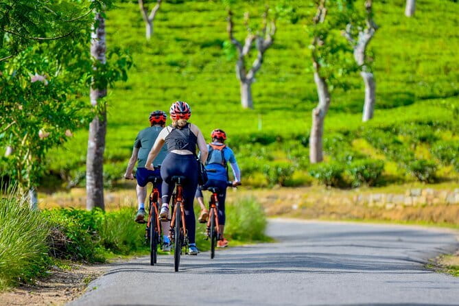 Tea Loops E-Biking - Viewpoints around Bogawanthalawa and Maussakelle