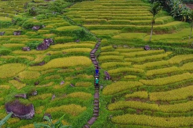 Tea Loops E-Biking - Who will enjoy Tea Loops E-Biking most
