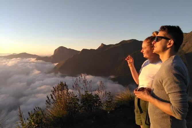 Tea planation walking In Munnar- (by Munnar Info) - Is $10 good value?