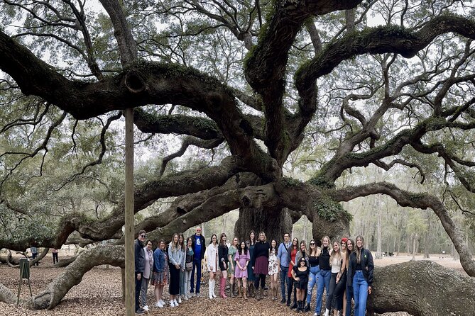 Tea Plantation and Winery Tour in Charleston - From Downtown Charleston to the Lowcountry