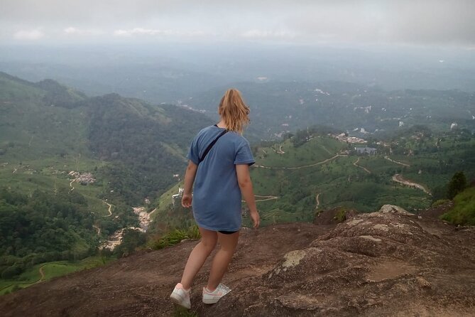 Tea Plantation, Grass Land and Mountain Hiking in Munnar - From the KSRTC Depot into Munnar’s tea country