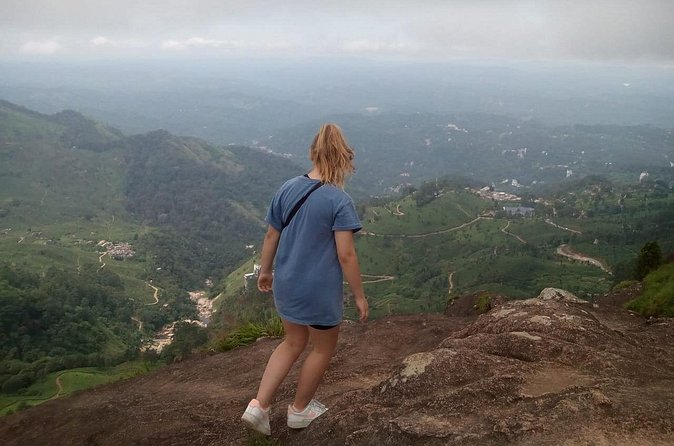 Tea Plantation, Grass Land and Mountain Hiking in Munnar - Shola forest and colorful flycatchers