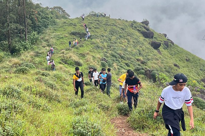 Tea Plantation, Grass Land and Mountain Hiking in Munnar - Who will get the most from this outing