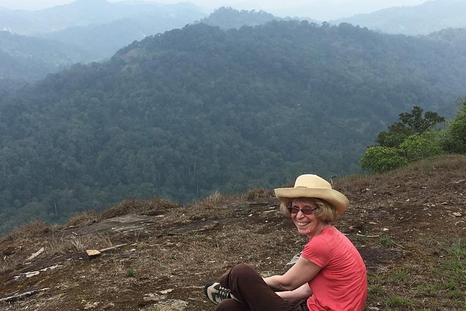 Tea plantation walk and stay in valley view Room (By Munnar Info) - Key points at a glance