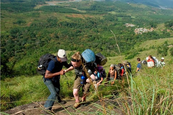Tea plantation walk and stay in valley view Room (By Munnar Info) - The five-hour tea plantation hike
