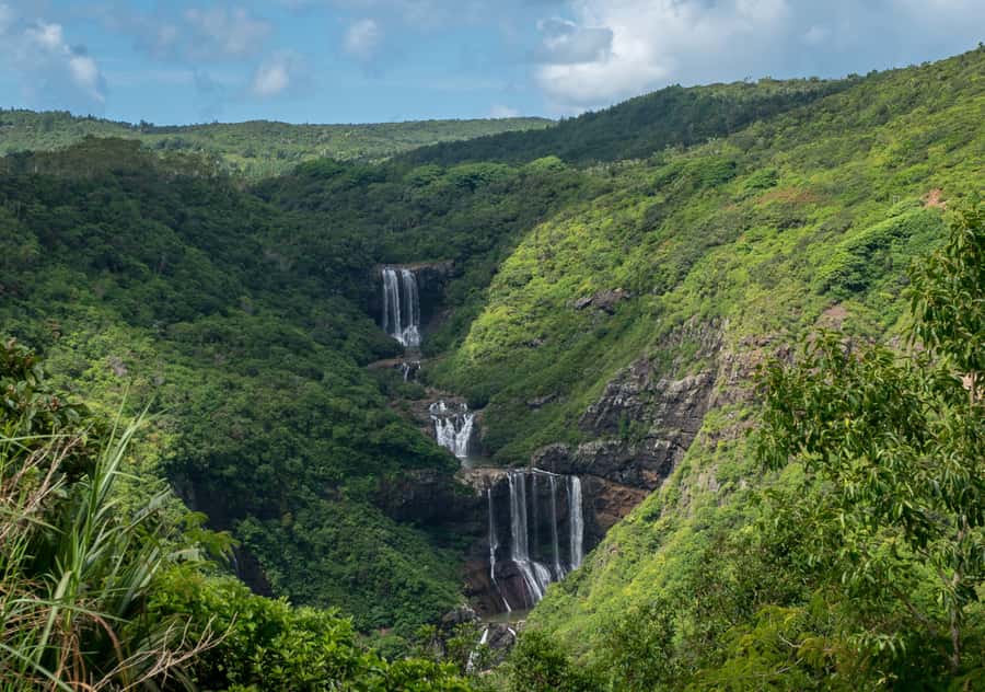 Tea Route: Lake, Forest, Tea Plantation & 3 Course Lunch - A full day across Mauritius’s central plateau