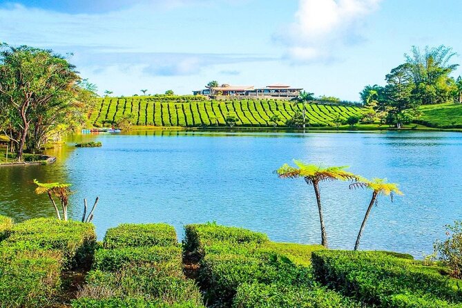 The Gorgeous East: Bois Cheri Tea factory, Rhumerie St-Aubin, Mahebourg & Lunch - Bois Cheri: tea, plantations, and a wide southern view