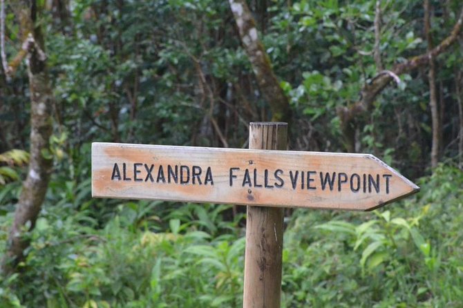 The Gorgeous South of Mauritius: Full-day tour incl Tea Factory & Crocodile park - Mare aux Vacoas brings a quiet forest pause