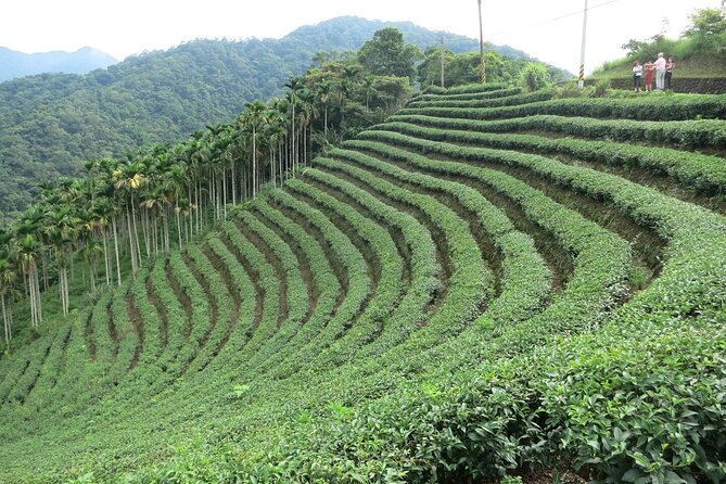 Thousand Island Lake and Pinglin Tea Plantation from Taipei - Quick takeaways from the mountain trip