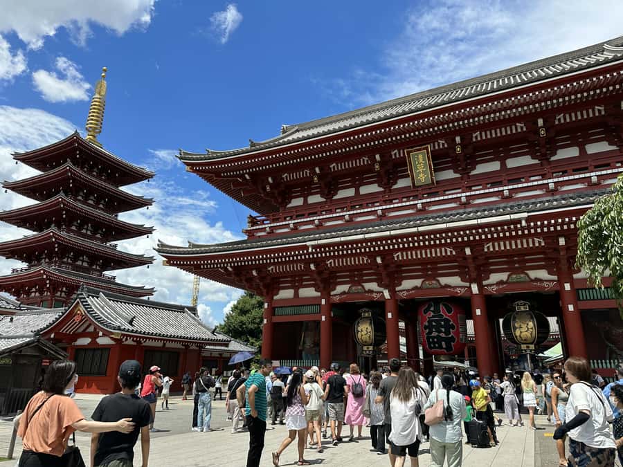 Tokyo: Full-Day Tour w/Tea Experience,Buffet Lunch & Cruise - What the guides add to the day