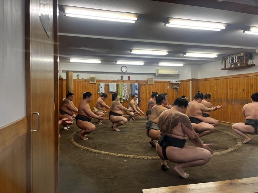 Tokyo Highlights Tour: Sumo, Sushi, Tea, and Tokyo Tower - Who will get the most from this tour