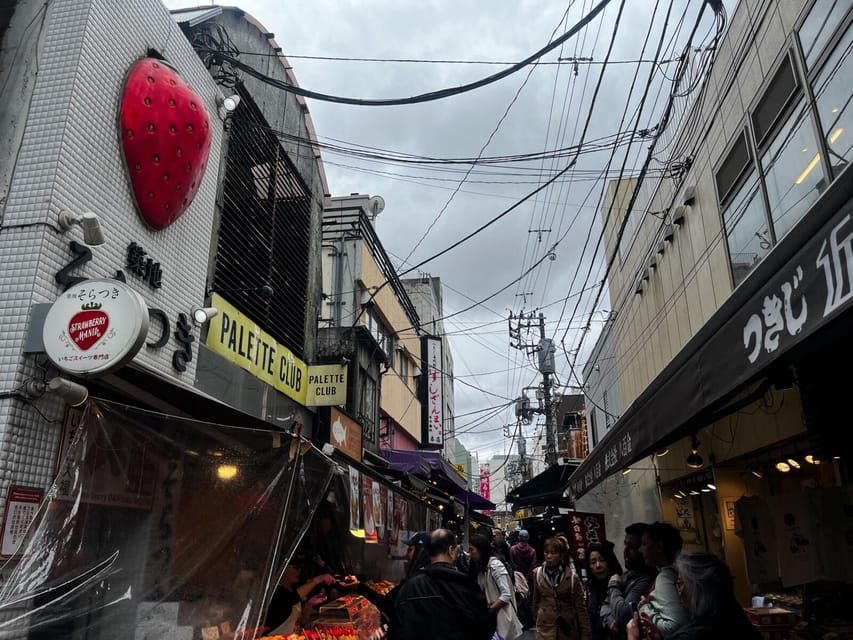 Tokyo Highlights Tour: Sumo, Sushi, Tea, and Tokyo Tower - Watching sumo through the windows