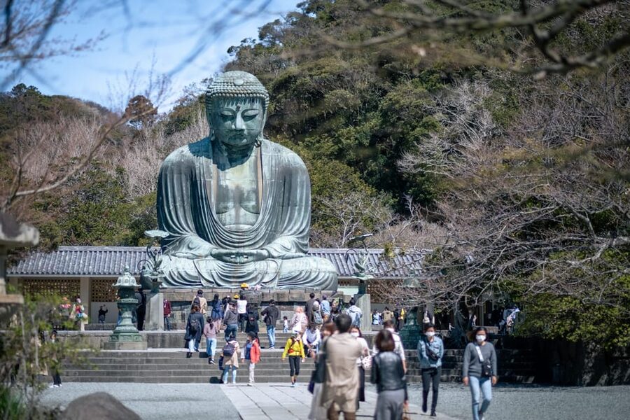 Trip to Kamakura & Enoshima: Shrines, Seaside, Temples &Tea - Key points at a glance