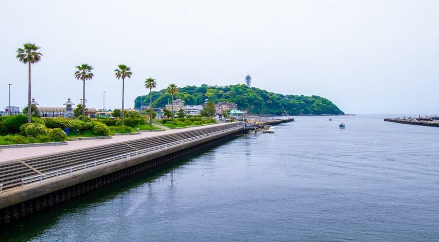 Trip to Kamakura & Enoshima: Shrines, Seaside, Temples &Tea - Enoshima Island, shrine, and observatory