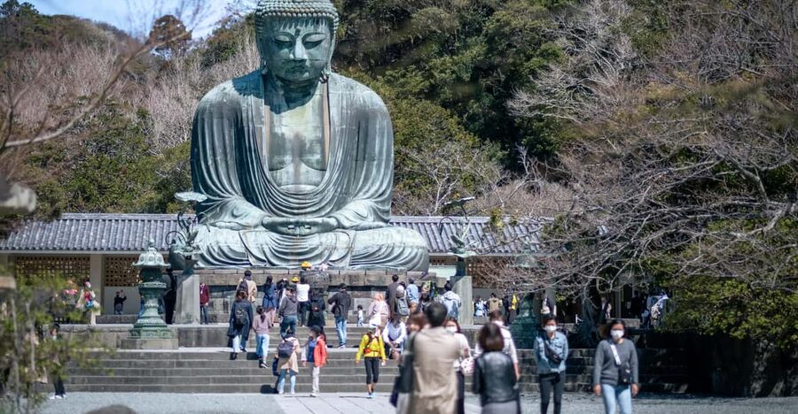 Trip to Kamakura & Enoshima: Shrines, Seaside, Temples &Tea - Kamakura lunch and street food