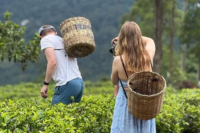 Tuk Tuk Nuwara Eliya Tea Falls Adventure - Why Ramboda Falls makes this tuk tuk day worthwhile