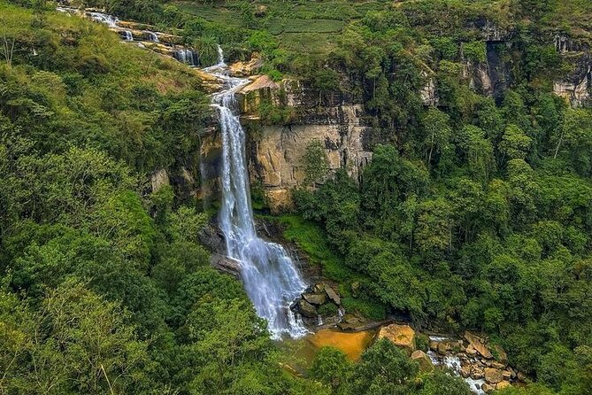 Tuk Tuk Nuwara Eliya Tea Falls Adventure - What you will see at Blue Field Tea Factory