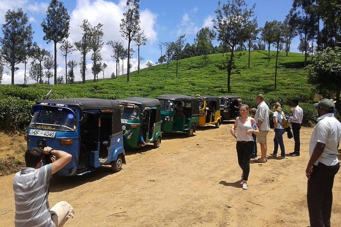 Tuk Tuk safari and Picnic in The Tea Plantation from Ella,Haputale & Bandarawela - Lipton’s Seat, where tea country opens below you