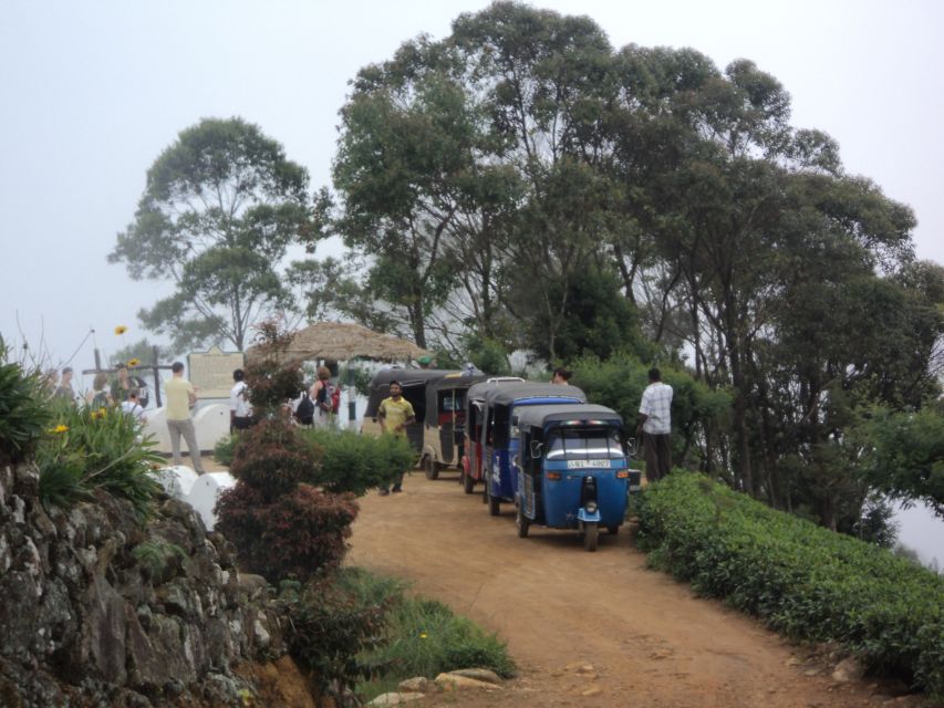Tuk-Tuk Safari Liptons seat,Tea Fields Hike,TeaFactory Tour - Why the seven-hour length works