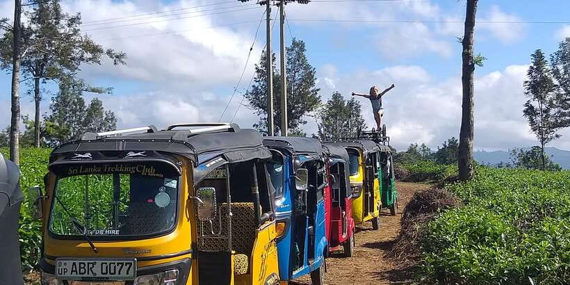 Tuk-Tuk Safari Liptons seat,Tea Fields Hike,TeaFactory Tour - The value of $60 per person