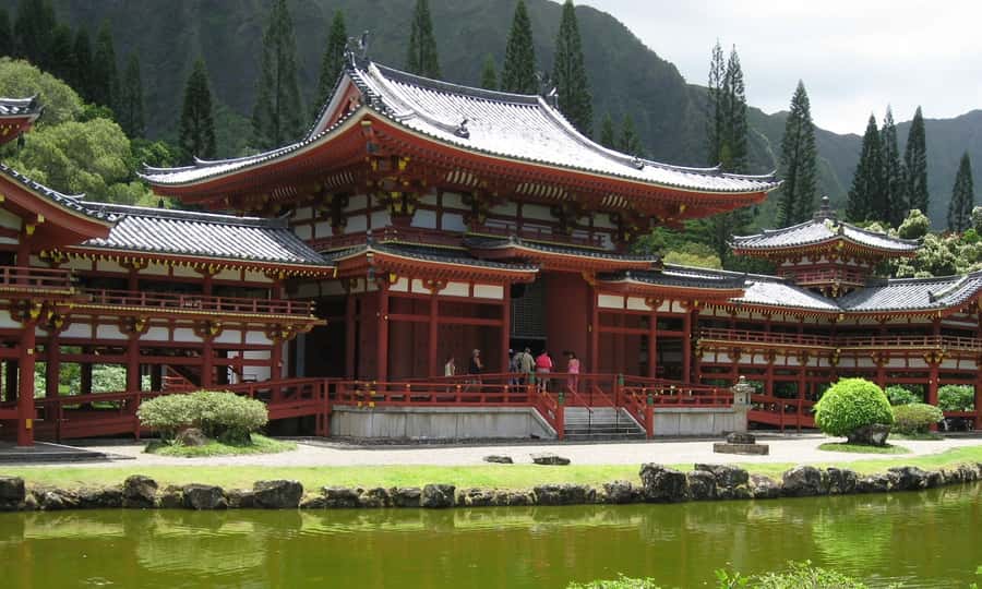 Uji: Green Tea Tour with Byodoin and Koshoji Temple Visits - The Gyokuro tasting and tea-leaf surprise
