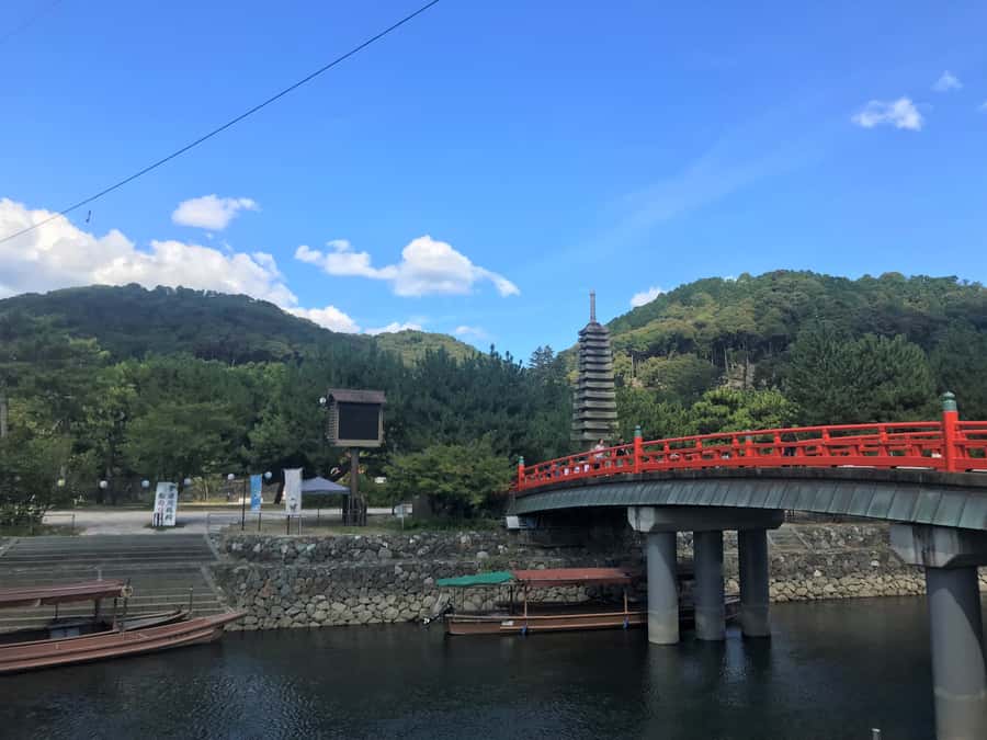 Uji: Green Tea Tour with Byodoin and Koshoji Temple Visits - Byodoin Temple and the Phoenix Hall