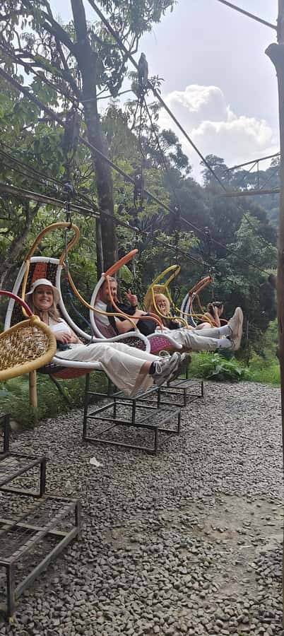 Volcano, Hot Spring, Mud Bath & Tea plantation all included - Timing, Pickup, and Physical Demands