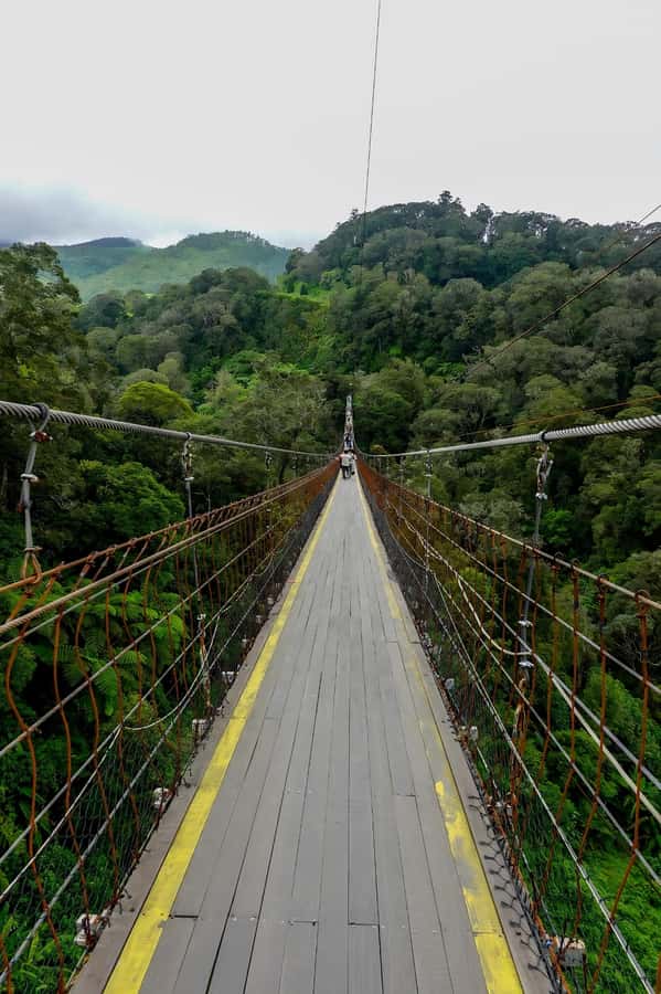 Volcano, Hot Spring, Mud Bath & Tea plantation all included - Kawah Putih and the Walk Through Tea Country