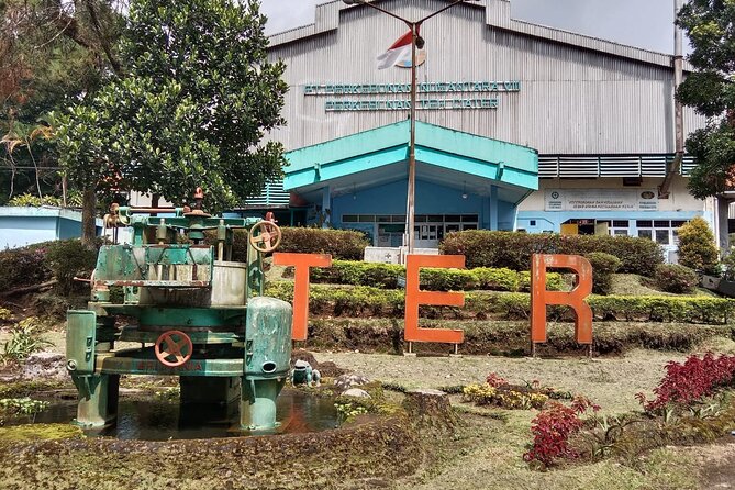 Volcano, Hot Spring, Tea Factory, rice fields and Coffee Tour - Local fruit at the Subang market