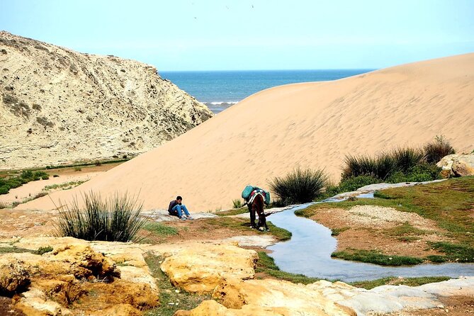 Walk to the cascade and marabout of Sidi Mbark & for a tea to Kaouki - Key points at a glance