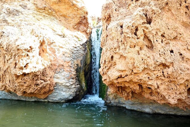 Walk to the cascade and marabout of Sidi Mbark & for a tea to Kaouki - Who will enjoy this walk most?