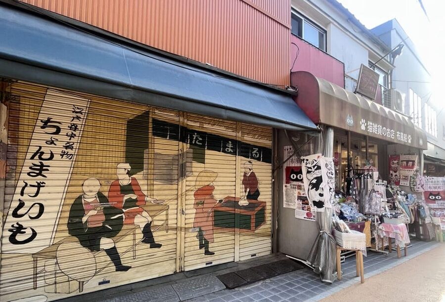 Walking Tour: Yanaka,Nezu& Sendagi: Tea Ceremony & Old Tokyo - Yanaka Cemetery and the first look at old Tokyo
