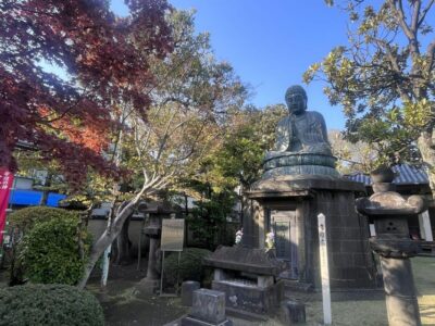 Walking Tour: Yanaka,Nezu& Sendagi: Tea Ceremony & Old Tokyo