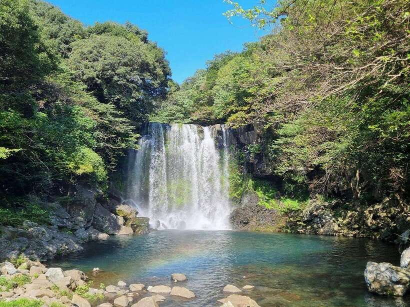 West & South Jeju: Hallasan Trail, Waterfall, Tea Field Tour - Eorimok Trail: an easy introduction to Hallasan