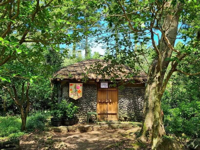 West & South Jeju: Hallasan Trail, Waterfall, Tea Field Tour - Timing, transport, and the value of $51