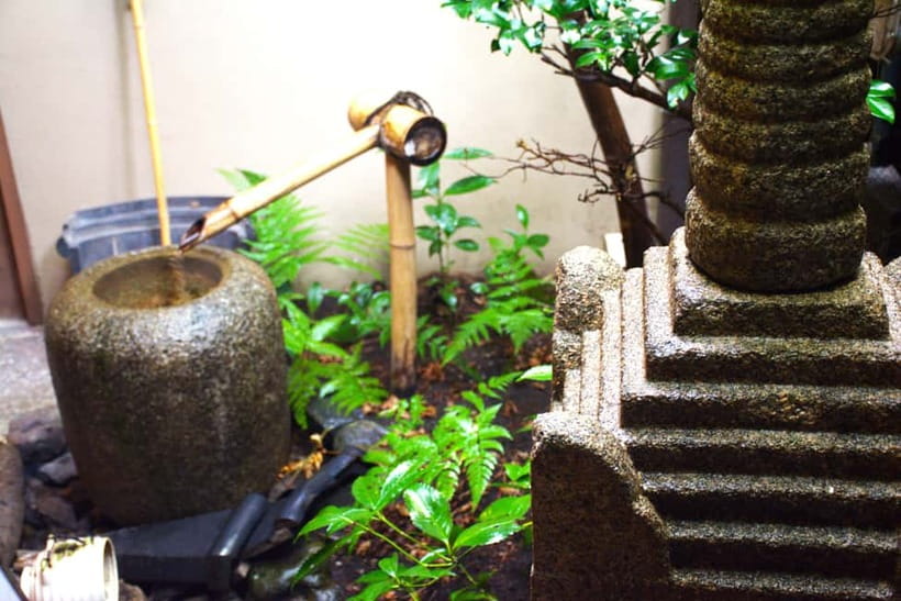 Whisk Your Own Matcha: A Zen Matcha Experience at Temple - What Sakura adds to the 45 minutes