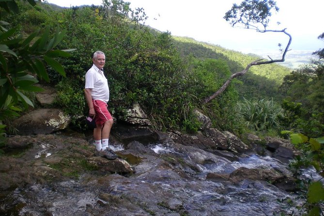 Wild South: Full-Day tour incl Rhumerie St Aubin, Bois cheri Tea factory & Lunch - Trou aux Cerfs, Mauritius’ Dormant Volcano