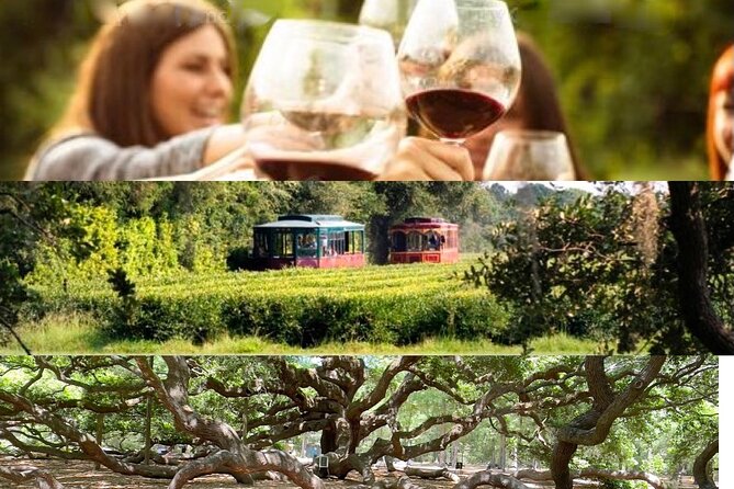 Wine Sippin'-Tea Drinkin'-Tree Huggin' Lowcountry Sightseeing - Key details at a glance