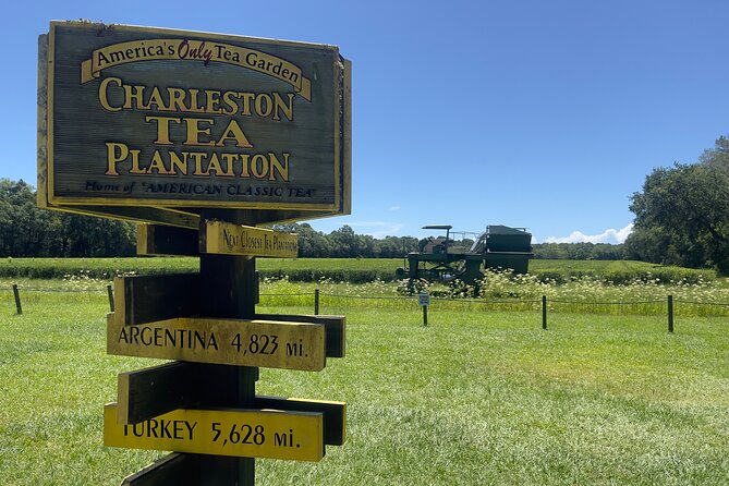 Wine Sippin'-Tea Drinkin'-Tree Huggin' Lowcountry Sightseeing - The guide can shape the whole day
