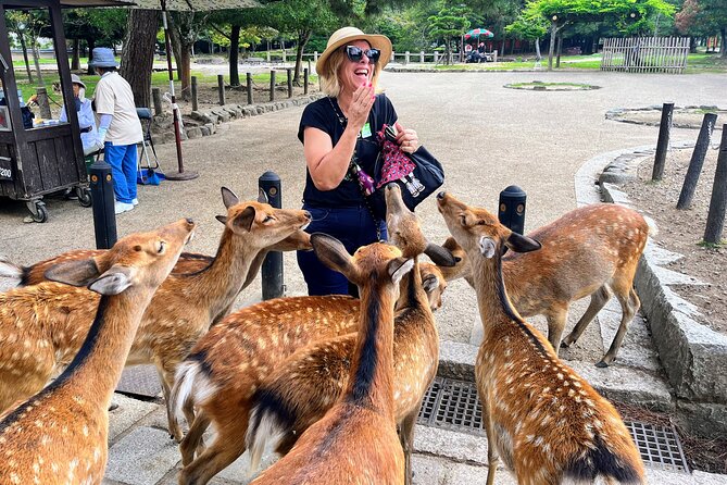 World Heritage Kyoto & Nara Uji Authentic Matcha Experience - A full Nara and Uji day from Kyoto