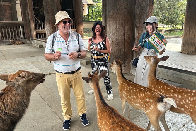 World Heritage Kyoto & Nara Uji Authentic Matcha Experience - Lunch beside the Uji River