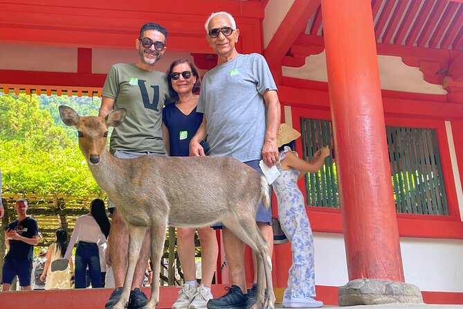 World Heritage Kyoto & Nara Uji Authentic Matcha Experience - How the guides shape the day