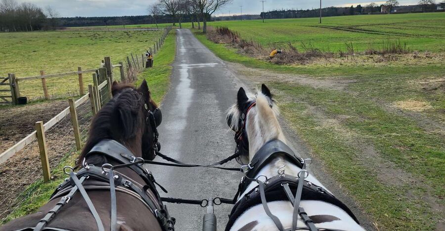 York: Horse Drawn Carriage ride & Cream Tea - A quiet carriage ride from Skipwith