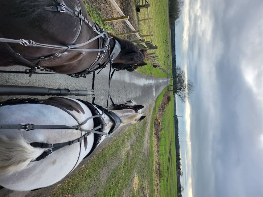 York: Horse Drawn Carriage ride & Cream Tea - What the one-hour itinerary feels like